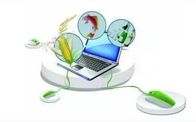 農產品電商解決方案 開啟高效、可持續的電子商務經營新篇章