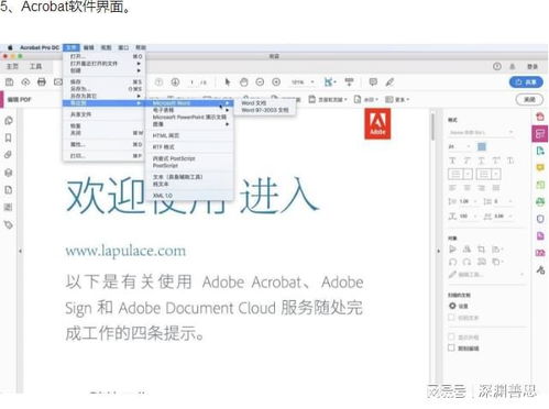 PDF表格制作與Acrobat軟件下載 全面玩轉(zhuǎn)數(shù)據(jù)處理與存儲(chǔ)支持服務(wù)